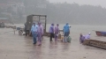 50 tấn cá chết ở Thanh Hóa: Các đoàn chuyên môn lấy mẫu độc lập