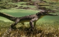10.000 con cá sấu sắp chết đói vì chủ bị đóng băng tài khoản