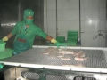 Công ty Hùng Vương có 6 DN được xuất khẩu cá tra vào Ukraine