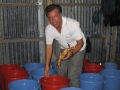 Cà Mau: Làm giàu từ mô hình ương cua bột