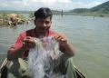 Khai thác thủy sản trong lòng hồ thủy điện Sông Ba Hạ: Tăng thu nhập cho người dân