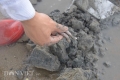 Cận cảnh đào giun biển thu tiền triệu
