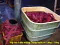 3 du khách Trung Quốc bị xử phạt vì đi thu mua tôm, cua