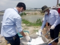 Quảng Ninh: Xuất hiện virus đốm trắng, bệnh gan tụy trên tôm nuôi