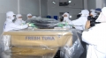 Đẩy mạnh xuất khẩu cá ngừ sang Nhật