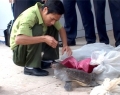 Vận chuyển động vật hoang dã từ Lào vào Việt Nam