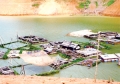 Giảm thiểu thiệt hại, phát triển nghề nuôi cá trên sông Đà