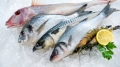 Đức: Tiêu thụ cá đạt kỷ lục mới