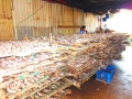 Thú vị nghề mua bán thủy hải sản ở biển - Bài 3: Chế biến cá khô - Nỗi trăn trở vươn xa