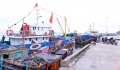 Hà Tĩnh: Bất cập từ những cảng cá