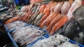 Thiếu hụt trầm trọng hải sản nguyên liệu