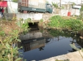 Cả 3 hệ thống sông cung cấp nước sinh hoạt cho thành phố Hải Phòng: Độc hại và ô nhiễm nghiêm trọng