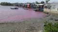Nguyên nhân nước hồ xả thải hóa màu tím