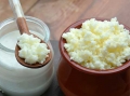 Bổ sung Nấm sữa (kefir) vào thức ăn của cá