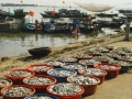 Khánh Hòa hạn chế các nghề khai thác hải sản ven bờ