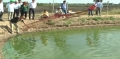 Khảo sát tình hình nuôi thủy sản tại xã Vĩnh Tân