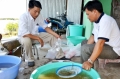“Khát” nguồn tôm giống chất lượng