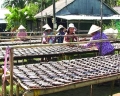 Nhãn hiệu “Cá khô bổi U Minh” trước nguy cơ bị xâm hại