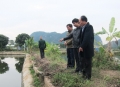 Quảng Ninh: Tích cực phòng chống rét cho vật nuôi thủy sản