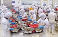 Kinh tế Việt Nam 2017: Nhiều cơ hội tăng trưởng
