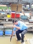Bến Tre: UBND tỉnh chỉ đạo kiểm tra thông tin cá chết ở xã Phú Túc