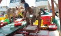 Ngư dân Cà Mau liên kết đánh bắt trên biển