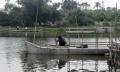 Quảng Trị: Phát triển nuôi cá lồng trên sông ở Hải Lăng