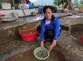 Lào Cai: Nữ tỷ phú vùng cao lái ô tô đi... bán cá giống