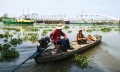“Đánh bắt” trùn chỉ trên sông Sài Gòn