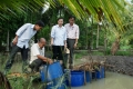 Hậu Giang: Tập huấn kỹ thuật nuôi thương phẩm lươn đồng