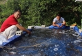 Điện Biên: Tổng kết mô hình nuôi cá chạch đồng trong ao