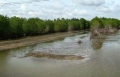 Nghiên cứu chất lượng nước và tôm tự nhiên trong các mô hình tôm rừng ở Cà Mau