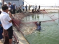 Hỗ trợ Quảng Ninh 50 tấn hóa chất phòng dịch bệnh thủy sản