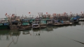 Quảng Ninh: Hơn 70 hộ dân nuôi cá lồng bè có nguy cơ vỡ nợ