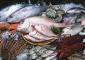 Kinh hoàng bảo quản hải sản bằng thuốc Trung Quốc