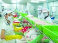 Cơ hội “lột xác” cho thủy sản Việt