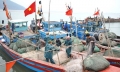 Tàu cá Việt "liên thủ" giữ chủ quyền