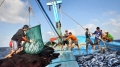 Nhiều giải pháp hỗ trợ ngư dân bị thiệt hại do cá chết bất thường