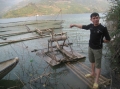 Những con cá nghĩa tình