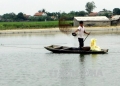 Bắc Giang nâng cao giá trị nuôi trồng thủy sản