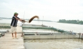Bắc Ninh: Nuôi cá lồng trên sông vẫn cho hiệu quả