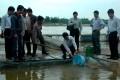 Phát triển nuôi cá lồng trên sông