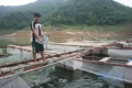 Đẩy mạnh phong trào thi đua yêu nước gắn với xây dựng nông thôn mới