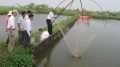 Bãi bỏ 12 thủ tục sản xuất kinh doanh chăn nuôi, thủy sản