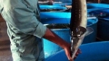 Vỡ mộng nuôi cá nước lạnh ở Lâm Đồng?