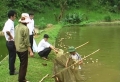 Nghệ An: Anh Sơn phát triển nghề chăn nuôi cá nước ngọt