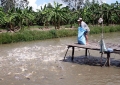 Tìm cách vực dậy nghề nuôi cá tra