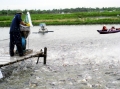 Vĩnh Long: Thủy sản nuôi vẫn tăng diện tích lẫn sản lượng