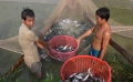 Thủ tục Cấp Giấy chứng nhận mã số nhận diện ao nuôi cá tra thương phẩm