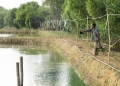 Thạnh Hóa: Nông dân đổ xô đào ao nuôi cá trê vàng